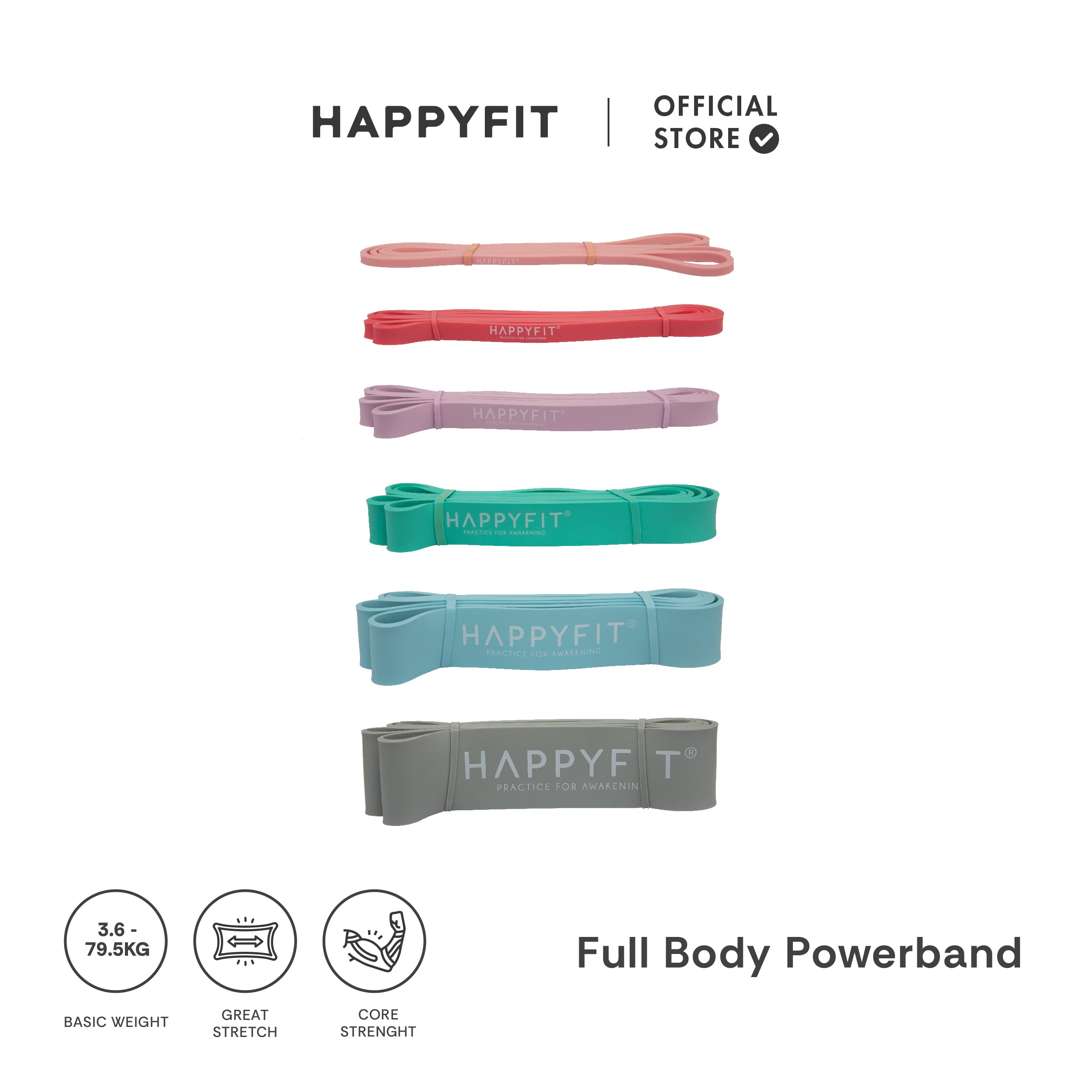 HAPPYFIT Resistance Full Body Power Band